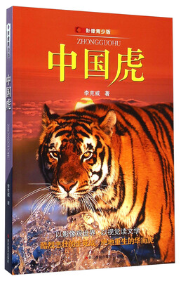 

影像青少版：中国虎