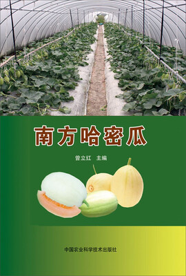 

南方哈密瓜