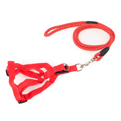 

HANHANLEYUAN dog chain dog rope small dog medium dog dog leash rope pet dog leash dog hyena rope golden hair Teddy dog chain fine line round rope red