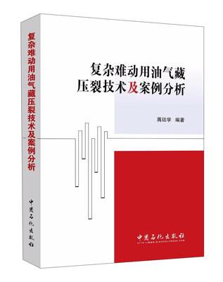 

复杂难动用油气藏压裂技术及案例分析