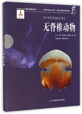 

无脊椎动物/中国野生动物生态保护 国家动物博物馆精品研究