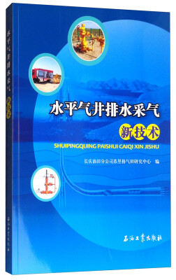 

水平气井排水采气新技术
