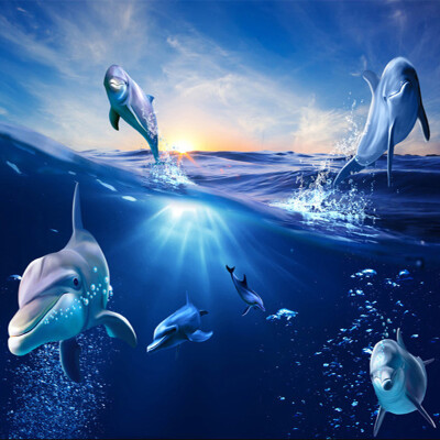 

Custom 3D Cartoon Mural Wallpaper Sunrise Dolphin Out Of The Water Photo Wall Paper For Kids Bedroom TV Background Home Decor