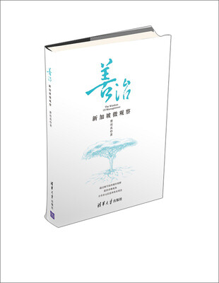 

善治 新加坡微观察
