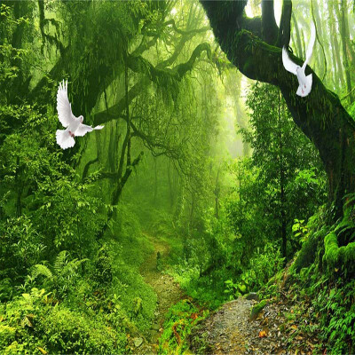 

Custom 3D Wallpaper Murals Virgin Forest Green Forest Tree Modern 3D Living Room TV Backdrop Home Wall Mural Non-woven Wallpaper