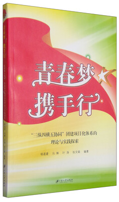 

青春梦携手行“三纵四横五协同”团建项目化体系的理论与实践探索