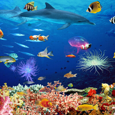 

Custom Photo Wallpaper 3D Underwater World Children's Room Mural Wall Decorations Living Room Bed Room Modern Wall Paper Rolls