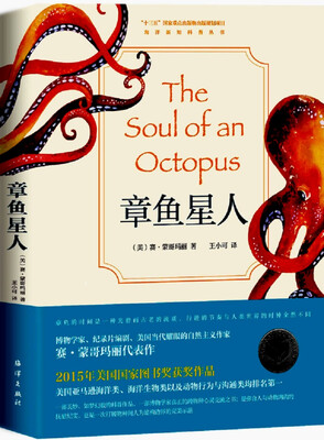 

章鱼星人