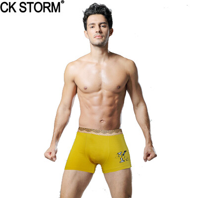 

CK STORM Bamboo Fiber Men Underwear Boxer Shorts for Men