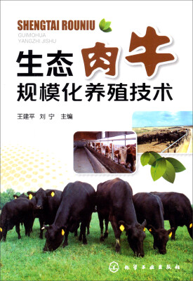 

生态肉牛规模化养殖技术