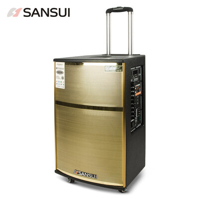 

Пейзаж (sansui) SG2-10 квадратный танец аудио наружный портативный Bluetooth-рычажный динамик двойной микрофон 10 дюймов