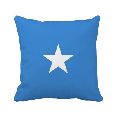 

Somali National Flag Africa Country Square Throw Pillow Insert Cushion Cover Home Sofa Decor Gift