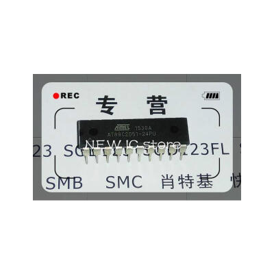 

20pcs/lot IC new original AT89C2051-24PU AT89C2051 89C2051 ATMEL DIP20 Free Shipping