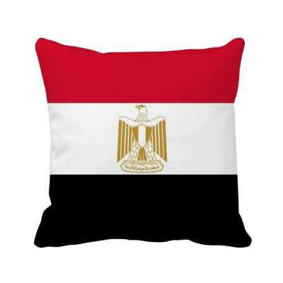 

Egypt National Flag Africa Country Square Throw Pillow Insert Cushion Cover Home Sofa Decor Gift