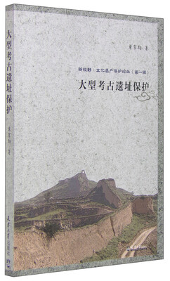 

新视野·文化遗产保护论丛（第一辑）：大型考古遗址保护