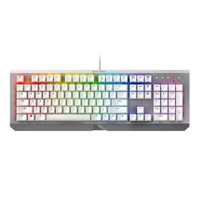 

Razer BlackWidow X Chroma Mercury Edition RGB Wired Mechanical Gaming Keyboard Razer Green Switches US