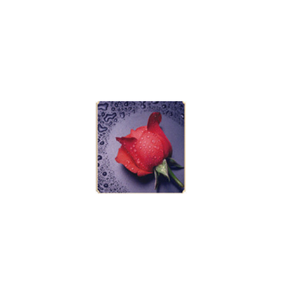 

DIY DIY diamond Embroidery beautiful rose 5D diamond painting of Cross stitch kit living room Needlework set embroidery
