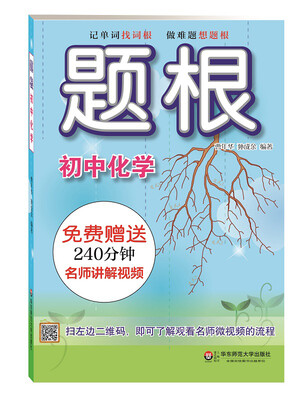 

题根·初中化学