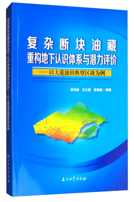 

复杂断块油藏重构地下认识体系与潜力评价以大港油田典型区块为例