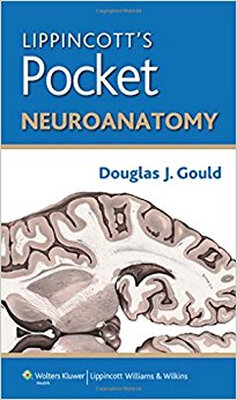 

Lippincotts Pocket Neuroanatomy Lippincotts P