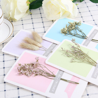 

JDKJ Creative Dried Flower Birthday Card Postcard Blessing Card Valentines Day Gift1 Random Style