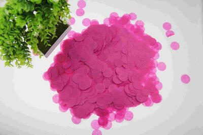 

Biodegradable 25CM Paper Confetti for Holiday Anniversary Birthday Graduation Wedding Bridal & Baby Parties Circles 30G