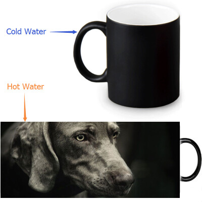 

Weimaraner 350ml/12oz Heat Reveal Mug Color Change Coffee Cup Sensitive Morphing Mugs Magic Mug Milk Tea Cups