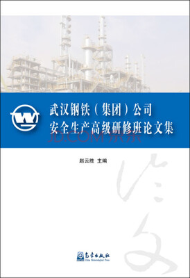 

武汉钢铁（集团）公司安全生产高级研修班论文集