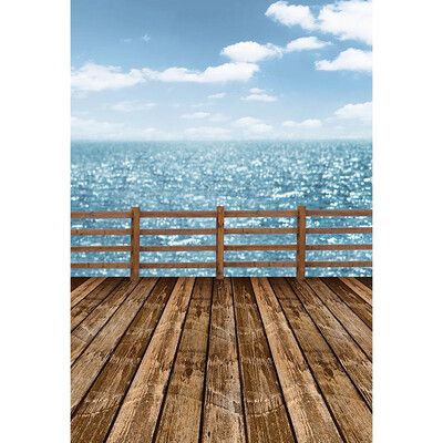 

Blue Summer Beach Background 57FT Vinyl Fabric Cloth Digital Printing Photo Studio Backdrop S-3041