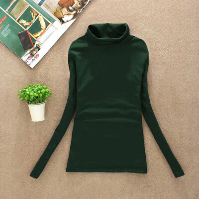 

BACHASH 2017 High Quality Fashion Spring Autumn Winter Sweater Women Wool Turtleneck Pullovers Fashion Womens Solid Sweaters