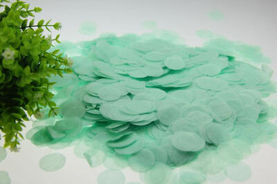 

Biodegradable 25CM Paper Confetti for Holiday Anniversary Birthday Graduation Wedding Bridal & Baby Parties Circles 30G