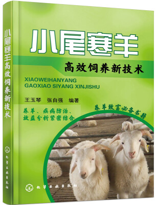 

小尾寒羊高效饲养新技术