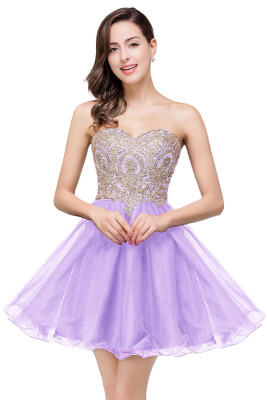 

Lovely Short Beaded Cheap Sweetheart A-Line Prom Dresses Appliques Sparkly Organza Homecoming Dresses