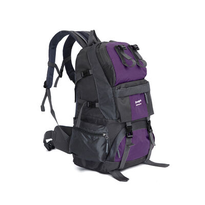 

Горячие большие 50L рюкзак Походная сумка Кемпинг Путешествия День Pack Восхождение Спортивные цвета