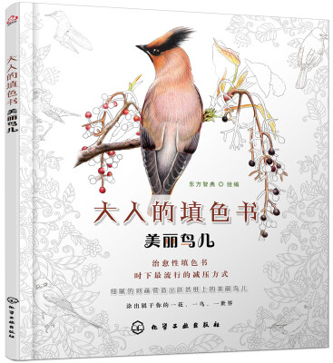 

大人的填色书：美丽鸟儿