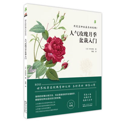 

人气玫瑰月季盆栽入门