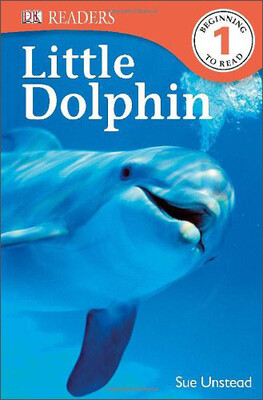

Little Dolphin