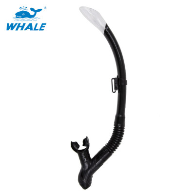 

Whale Brand professional scuba diving equipment breathing tube with 6 colors snorkel with