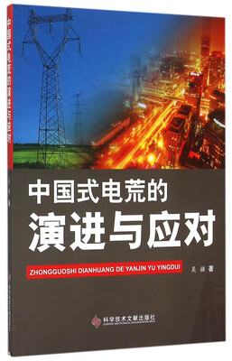 

中国式电荒的演进与应对