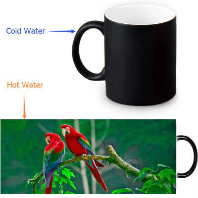 

Parrot 350ml12oz Heat Reveal Mug Color Change Coffee Cup Sensitive Morphing Mugs Magic Mug Milk Tea Cups