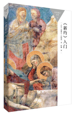 

<新约>入门(百科通识文库)
