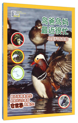 

它世界系列丛书鸟爸鸟妈最近很忙鸟类科普故事