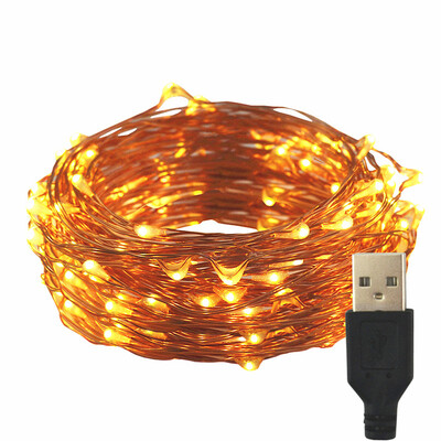 

LED lamp USB control flexible copper wire USB interface 10m 100 bead LED waterproof outdoor Christmas led strip light
