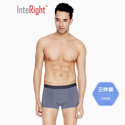 

INTERIGHT underwear mens modal bag net color antibacterial inner boxer 3 boxed mixed color XXXL