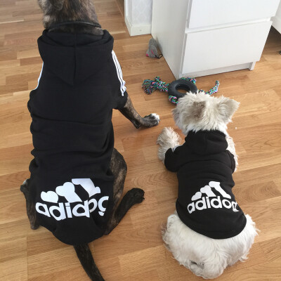 

Dog Clothes Large Size Winter Autumn Coat Big Dogs Hoodie Apparel 100% Cotton  Size