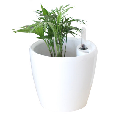 

Fruit flower gray wall hanging flower pot resin wall hanging flower pot creative lazy hanging bowl