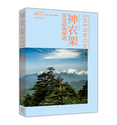 

神农架常见植物图谱