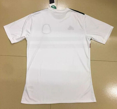 

New 2018 Mexico Soccer Jersey Home 1718 Green Away White CHICHARITO Camisetas de futbol HLOZANO GDOS SANTOS AGUARDADO football