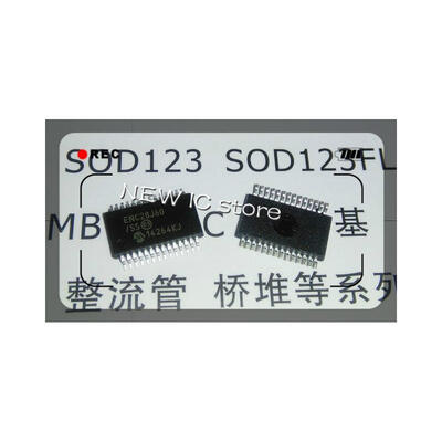 

FREE SHIPPING 50PCS ENC28J60SS ENC28J60 SSOP-28 NEW IC