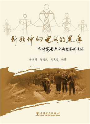 

斩断伸向电网的黑手 平安电力 典型案例选编